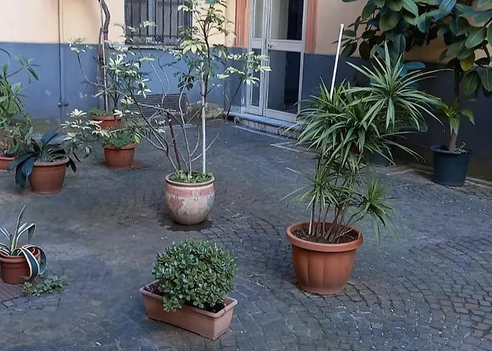 דירה Domus Mea *