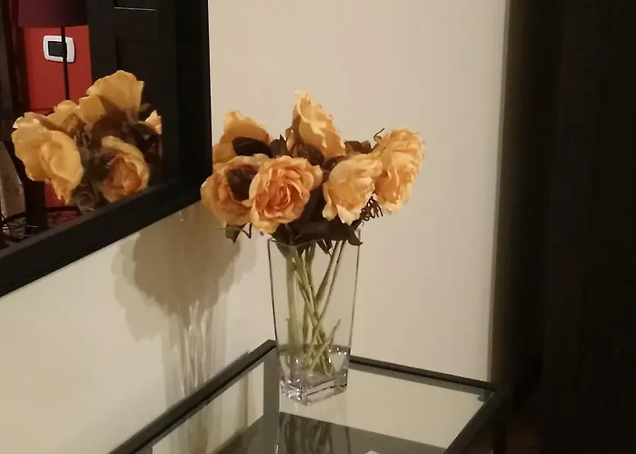 Domus Mea דירה *