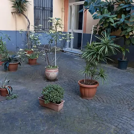 Apartament Domus Mea *