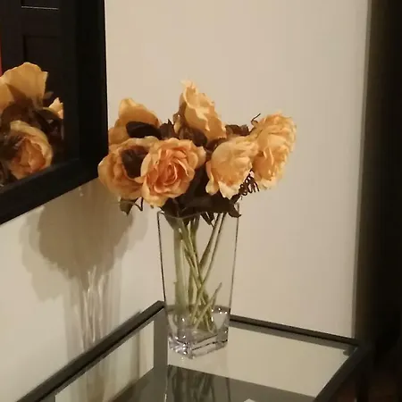 Domus Mea Apartament *