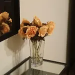 Domus Mea Lägenhet *